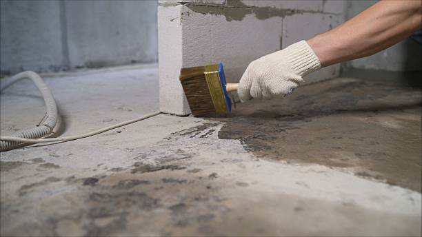 SJ Waterproofing Pros Waterproofing coverage map for Ithaca, MI and surrounding area